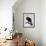 White-Headed Sea Eagle-Charles Collins-Framed Giclee Print displayed on a wall