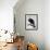 White-Headed Sea Eagle-Charles Collins-Framed Giclee Print displayed on a wall