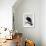 White-Headed Sea Eagle-Charles Collins-Framed Giclee Print displayed on a wall