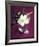 White Hellebore-Amelie Vuillon-Framed Art Print