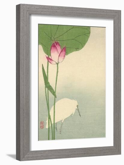 White Heron and Lotus-Baison-Framed Premium Giclee Print