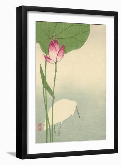 White Heron and Lotus-Baison-Framed Premium Giclee Print