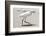 White Heron - Florida-Philippe Hugonnard-Framed Photographic Print