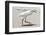 White Heron - Florida-Philippe Hugonnard-Framed Photographic Print