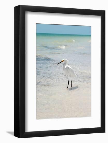 White Heron - Florida-Philippe Hugonnard-Framed Photographic Print