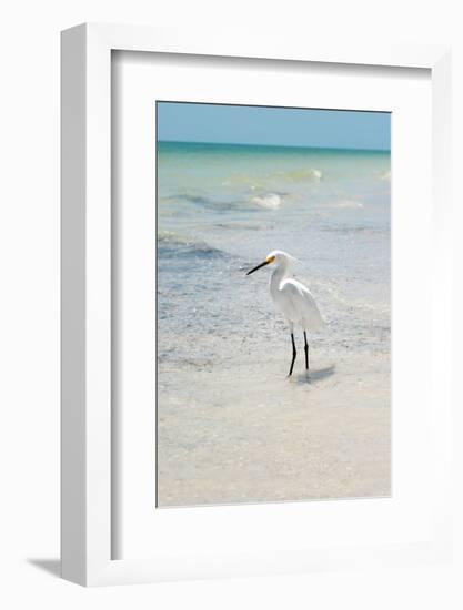 White Heron - Florida-Philippe Hugonnard-Framed Photographic Print