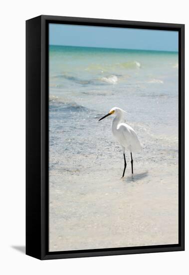 White Heron - Florida-Philippe Hugonnard-Framed Premier Image Canvas