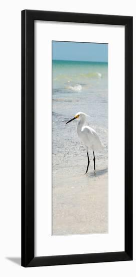 White Heron - Florida-Philippe Hugonnard-Framed Photographic Print