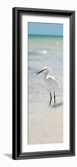 White Heron - Florida-Philippe Hugonnard-Framed Photographic Print