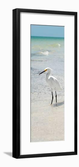 White Heron - Florida-Philippe Hugonnard-Framed Photographic Print