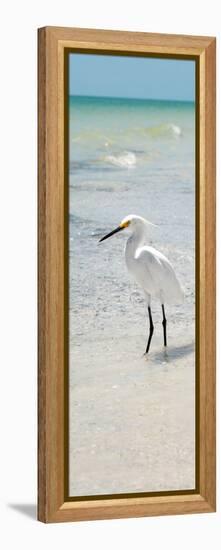 White Heron - Florida-Philippe Hugonnard-Framed Premier Image Canvas