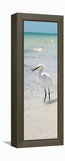 White Heron - Florida-Philippe Hugonnard-Framed Premier Image Canvas