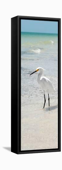 White Heron - Florida-Philippe Hugonnard-Framed Premier Image Canvas