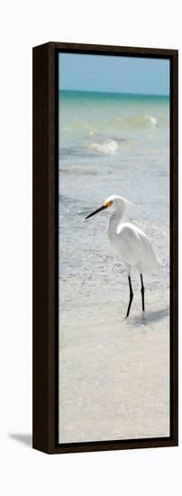 White Heron - Florida-Philippe Hugonnard-Framed Premier Image Canvas