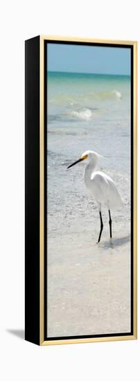 White Heron - Florida-Philippe Hugonnard-Framed Premier Image Canvas