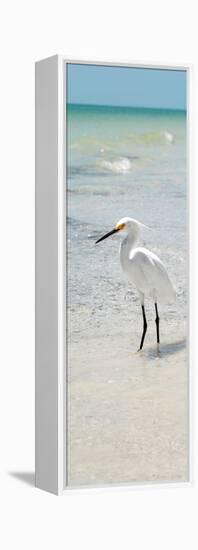 White Heron - Florida-Philippe Hugonnard-Framed Premier Image Canvas