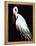 White Heron III-Kari Taylor-Framed Premier Image Canvas