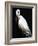 White Heron III-Kari Taylor-Framed Giclee Print