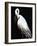 White Heron III-Kari Taylor-Framed Giclee Print