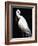 White Heron III-Kari Taylor-Framed Giclee Print