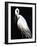 White Heron III-Kari Taylor-Framed Giclee Print