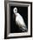 White Heron III-Kari Taylor-Framed Giclee Print