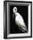 White Heron III-Kari Taylor-Framed Giclee Print