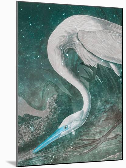 White Heron - Space-Eccentric Accents-Mounted Giclee Print