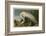 White Heron-John James Audubon-Framed Giclee Print