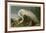 White Heron-John James Audubon-Framed Giclee Print