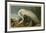 White Heron-John James Audubon-Framed Giclee Print