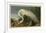 White Heron-John James Audubon-Framed Giclee Print