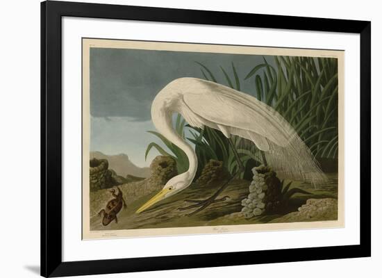 White Heron-John James Audubon-Framed Giclee Print