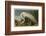 White Heron-John James Audubon-Framed Art Print