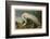 White Heron-John James Audubon-Framed Art Print