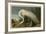 White Heron-John James Audubon-Framed Art Print