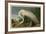 White Heron-John James Audubon-Framed Art Print