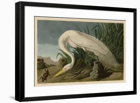 White Heron-John James Audubon-Framed Art Print