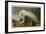 White Heron-John James Audubon-Framed Art Print