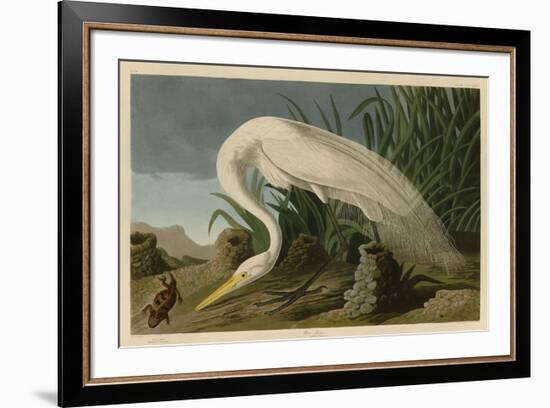 White Heron-John James Audubon-Framed Art Print