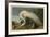 White Heron-John James Audubon-Framed Art Print