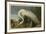 White Heron-John James Audubon-Framed Art Print