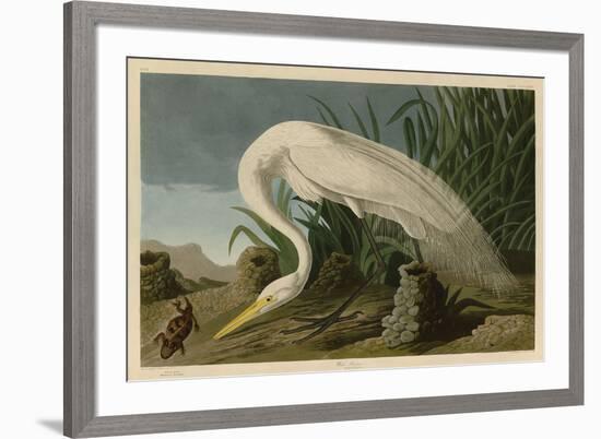 White Heron-John James Audubon-Framed Art Print