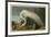 White Heron-John James Audubon-Framed Art Print