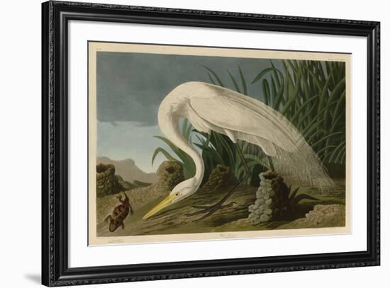 White Heron-John James Audubon-Framed Art Print