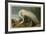 White Heron-John James Audubon-Framed Art Print