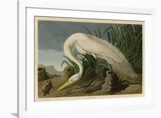 White Heron-John James Audubon-Framed Art Print