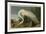 White Heron-John James Audubon-Framed Art Print