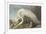 White Heron-James Audubon-Framed Giclee Print