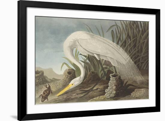 White Heron-James Audubon-Framed Giclee Print